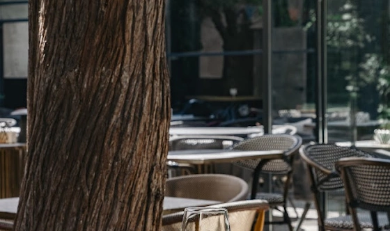 Фото №7 зала Летняя веранда