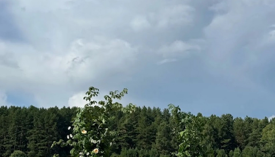 Фото №5 зала Беседка на берегу реки