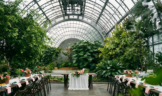 Фото №13 зала Оранжерея 