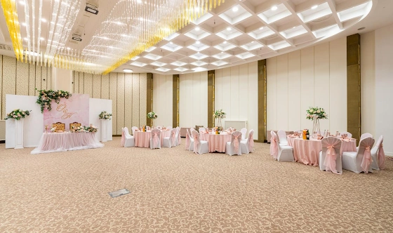 Фото №13 зала Зал «Россини» 