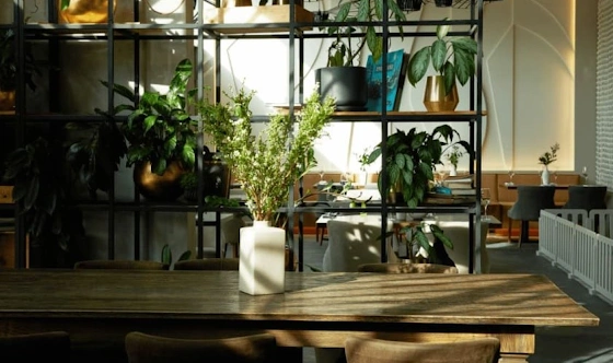 Фото №3 зала Библиотека