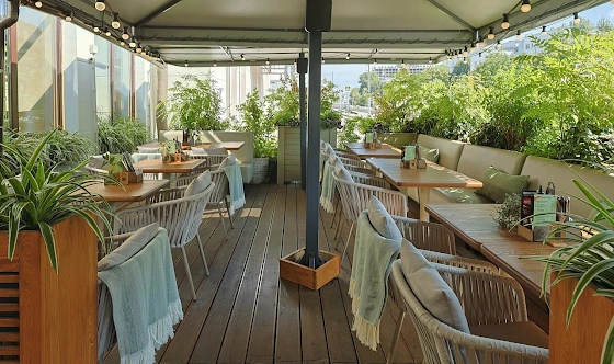 Фото №3 зала Летняя веранда