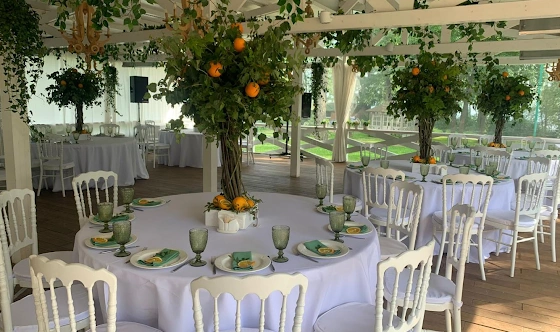 Фото №1 зала Летняя терраса