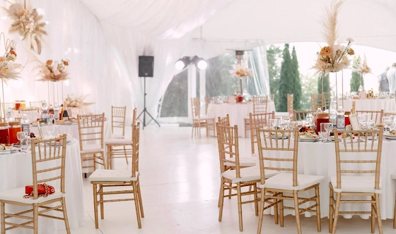 Фото №4 зала Шатер Панорама