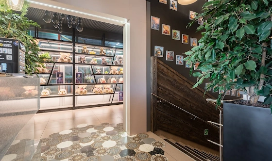 Фото №10 зала Основной зал