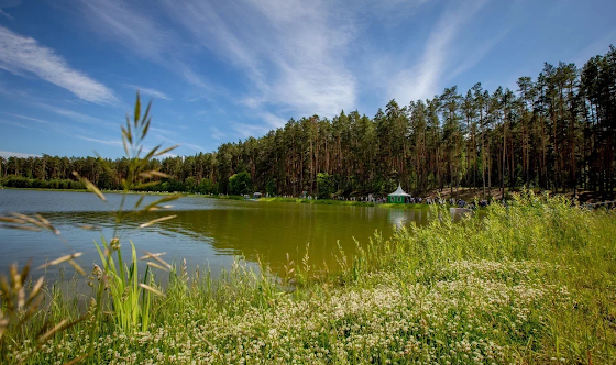 Фото №17 зала Шатёр