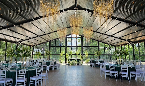 Фото №20 зала Веранда «Дивный Лес»