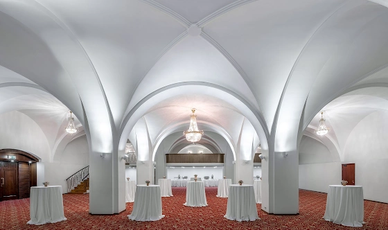 Фото №8 зала Зал «Онегин»