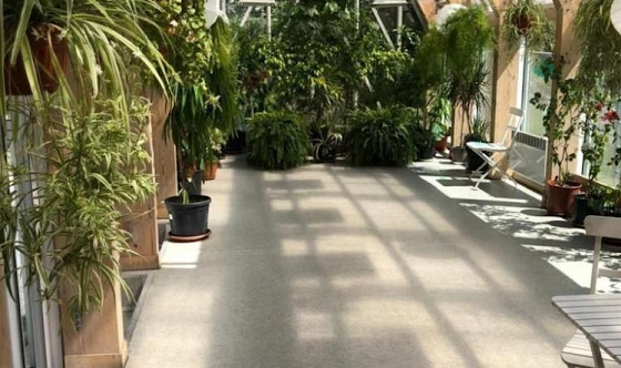 Фото №12 зала Левая и правая оранжерея 