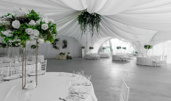 Фото №19 зала Шатер