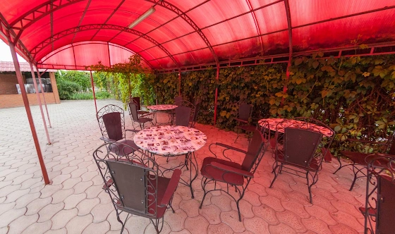 Фото №5 зала Летняя терраса