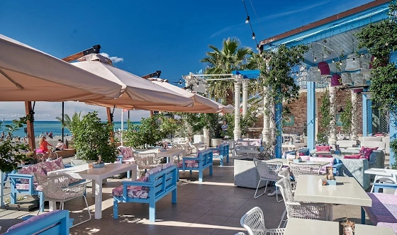 Фото №1 зала Летняя веранда