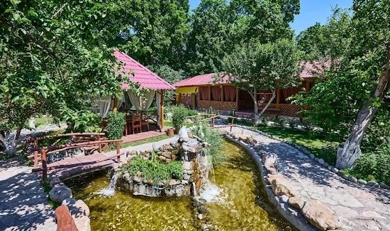 Фото №10 зала Летняя терраса