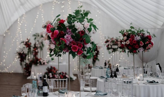 Фото №1 зала Сосновый бор