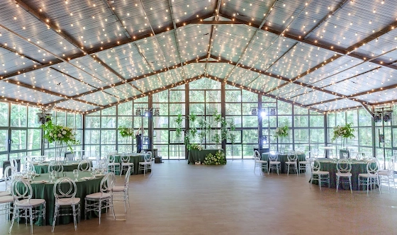 Фото №1 зала Веранда «Дивный Лес»