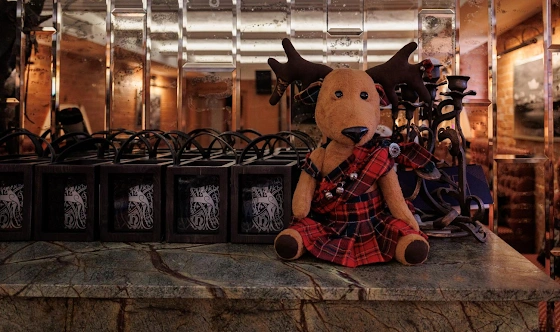 Фото №14 зала Основной зал