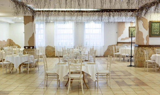 Фото №2 зала Ресторан «Ольмека»