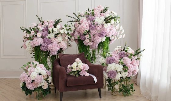 Фото №1 зала Зал «‎Велюр»