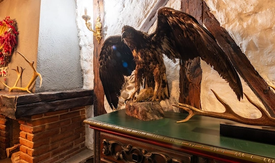 Фото №10 зала Зал «Охота»