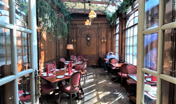 Фото №5 зала Зал «Оранжерея»