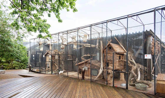 Фото №5 зала Шатер 