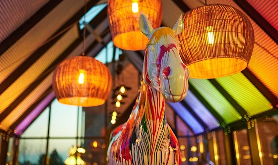 Фото №2 зала Зал "Оранжерея"