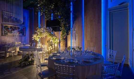 Фото №9 зала Зал «Галерея»