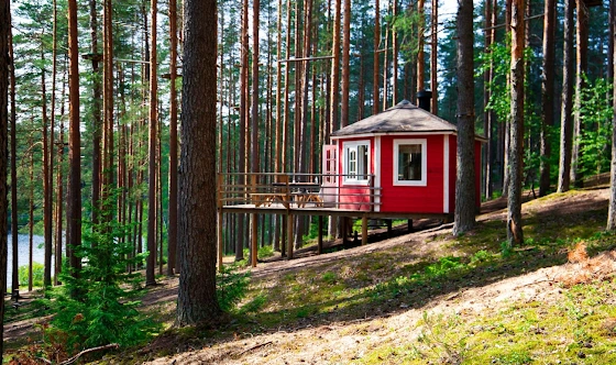 Фото №1 зала Гриль-домики