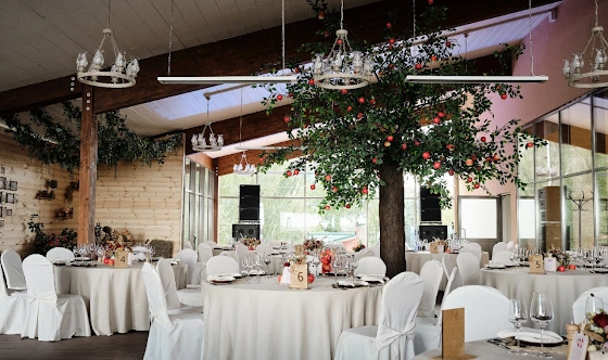 Фото №3 зала Терраса Сувенир XL