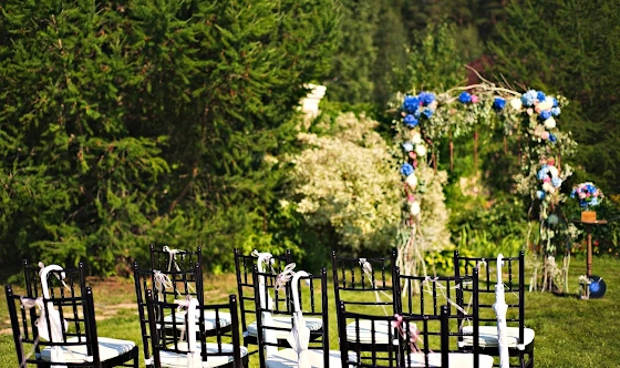 Фото №7 зала Парк