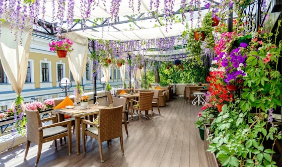 Фото №5 зала Основная веранда