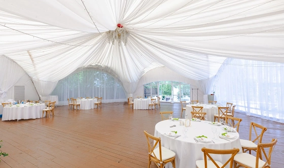 Фото №18 зала Сосновый бор