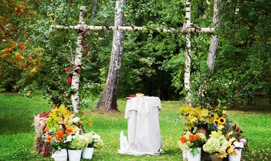 Фото №2 зала Поляна сказок