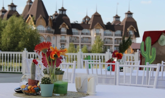 Фото №2 зала Летняя галерея