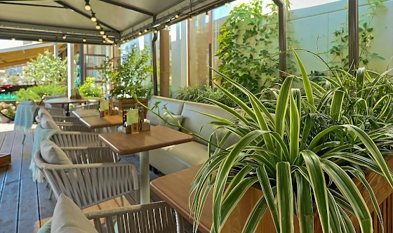 Фото №6 зала Летняя веранда