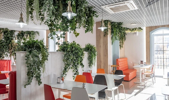 Фото №4 зала Cafe Thermal