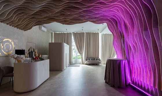 Фото №10 зала SOFT