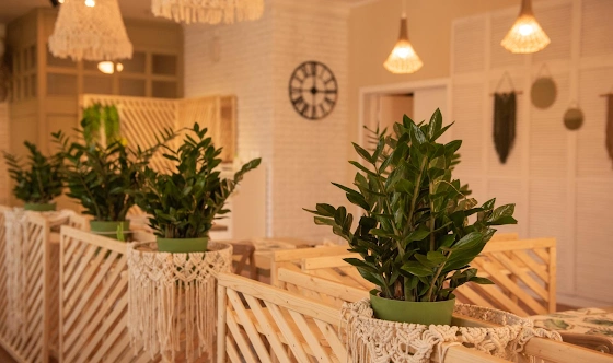 Фото №18 зала Зал «Ботаника»