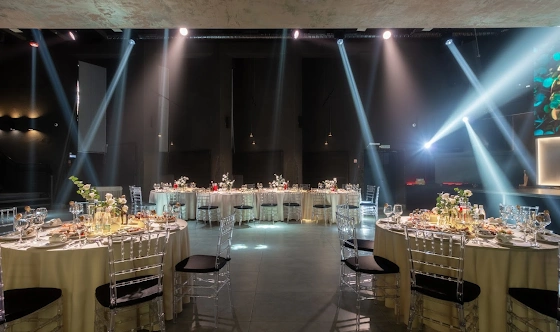 Фото №5 зала Dusty Gold