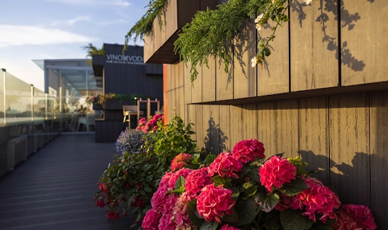 Фото №8 зала Терраса "Вино и вода"