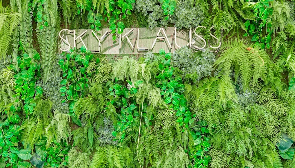 Фото №18 зала Sky Klauss