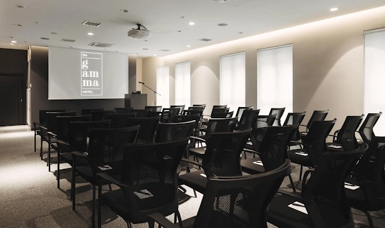 Фото №1 зала Конференц зал GAMMA