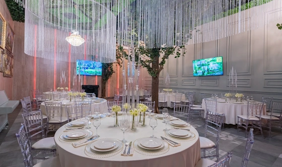 Фото №14 зала Зал «Галерея»