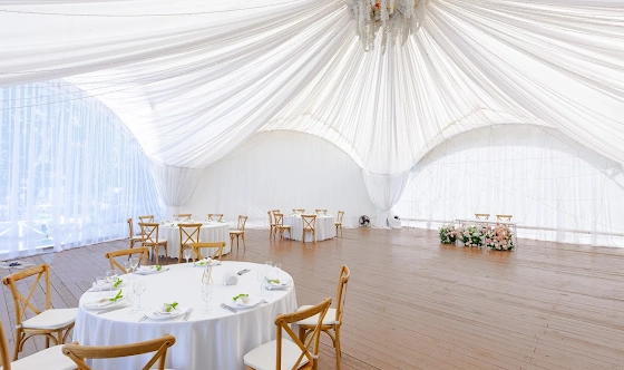 Фото №12 зала Сосновый бор