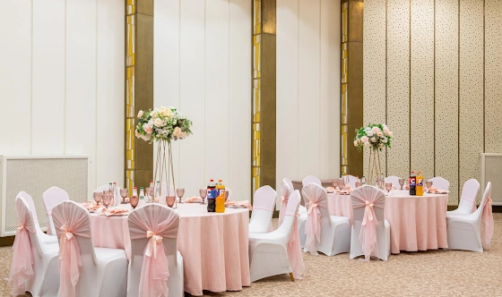 Фото №14 зала Зал «Россини» 