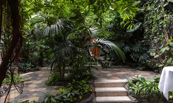 Фото №6 зала Зал «Зимний сад»