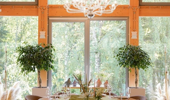 Фото №14 зала Ресторан