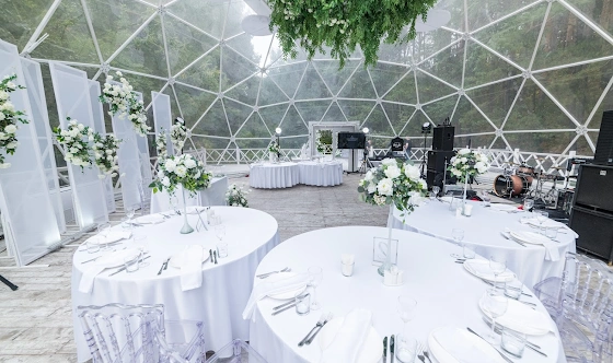 Фото №14 зала Шатер «Лесная сфера»