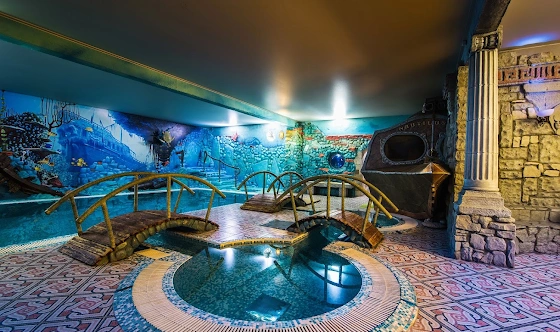 Фото №1 зала Зал с бассейном