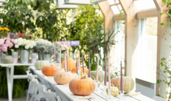 Фото №1 зала Левая и правая оранжерея 